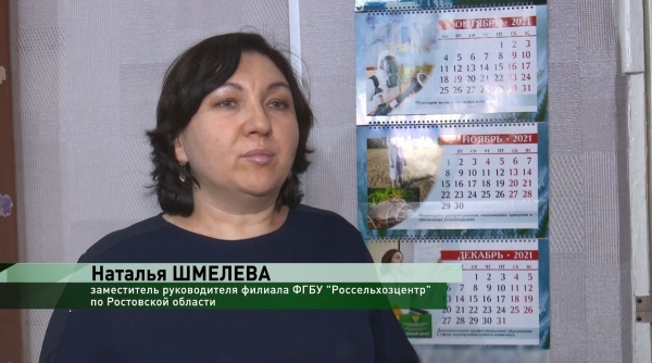 О работе Ростовского филиала информирует телеканал 