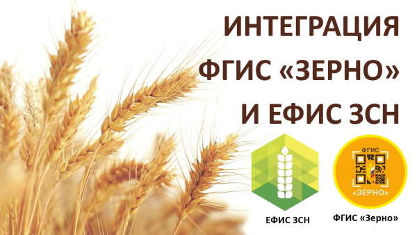 Россельхозцентр информирует о ФГИС Зерно и земельных участках сельскохозяйственного назначения